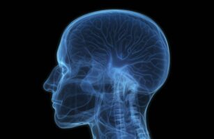 クラニオセイクラルセラピー入門講座（満席御礼）